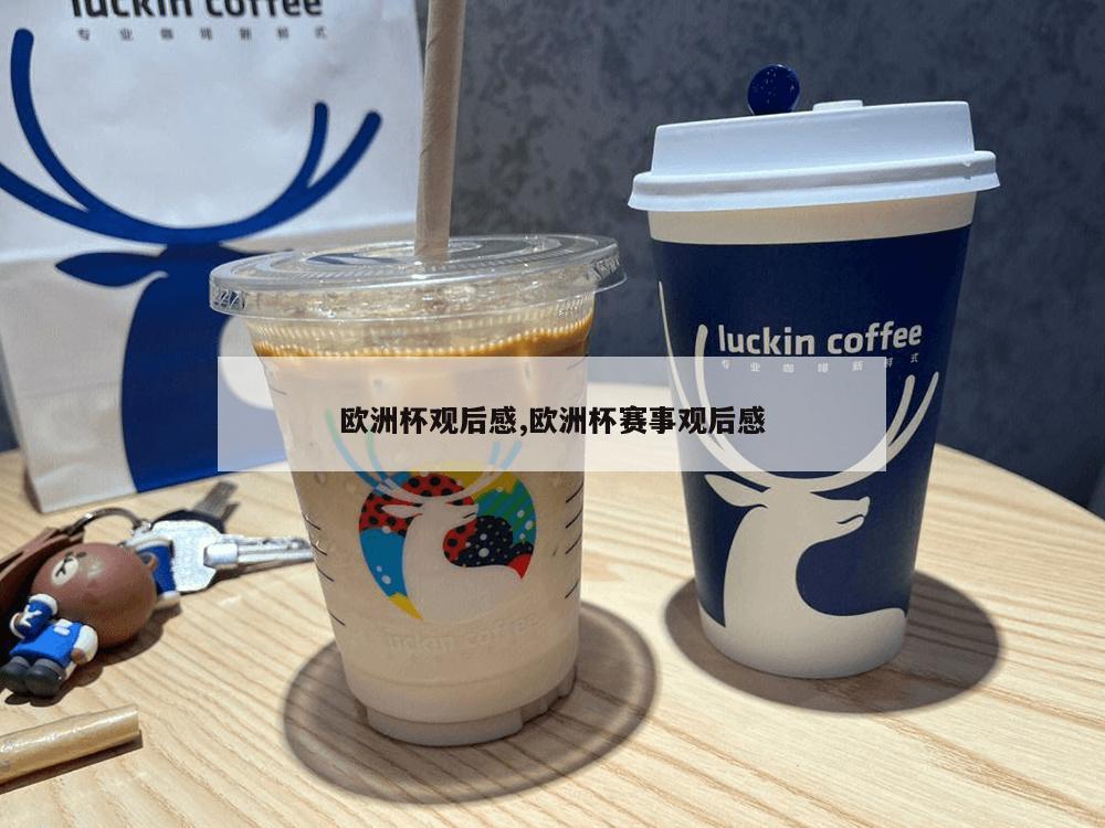 欧洲杯观后感,欧洲杯赛事观后感