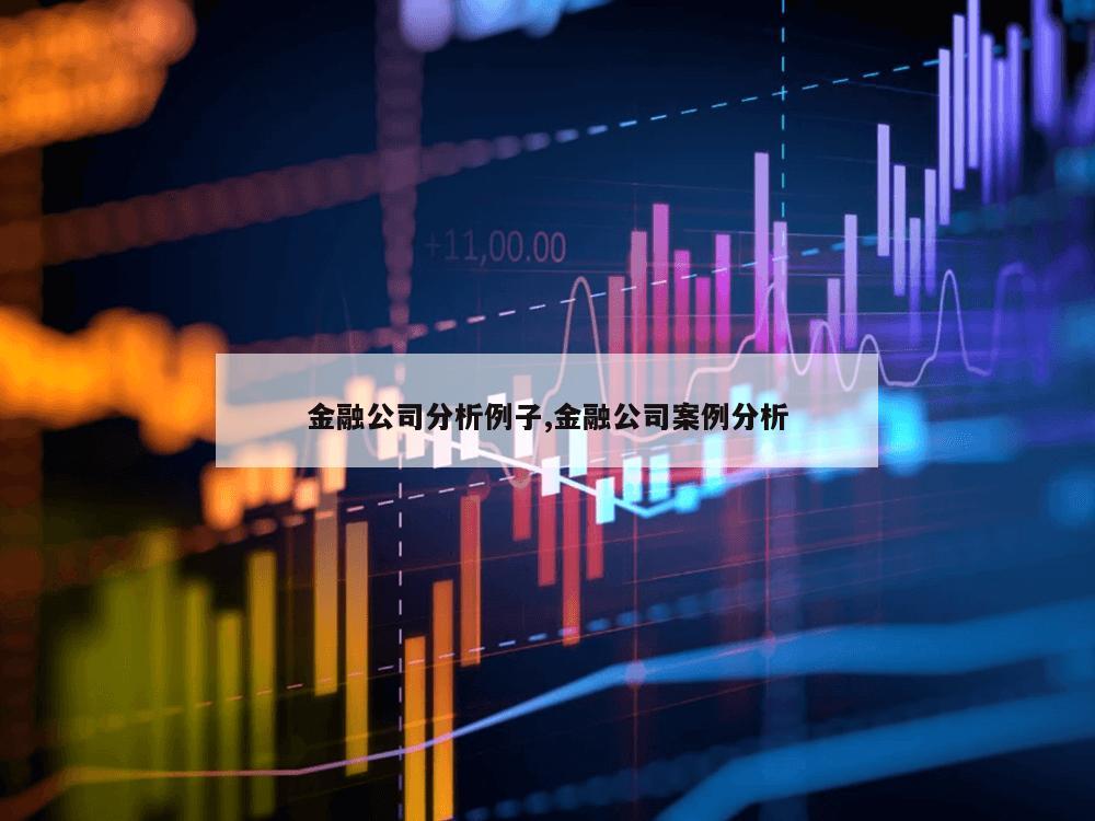 金融公司分析例子,金融公司案例分析