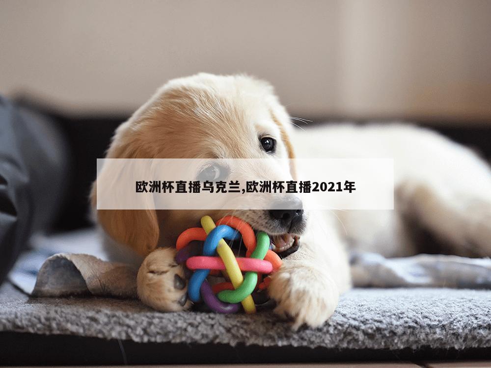 欧洲杯直播乌克兰,欧洲杯直播2021年