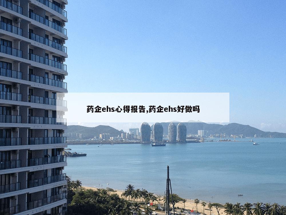 药企ehs心得报告,药企ehs好做吗