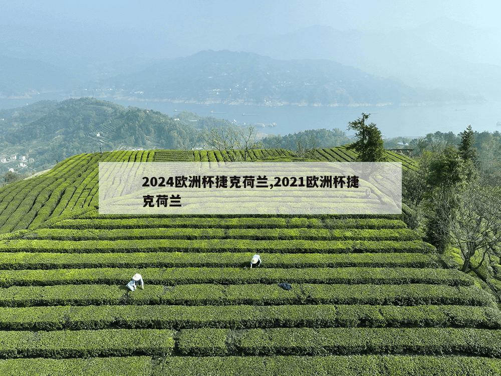 2024欧洲杯捷克荷兰,2021欧洲杯捷克荷兰