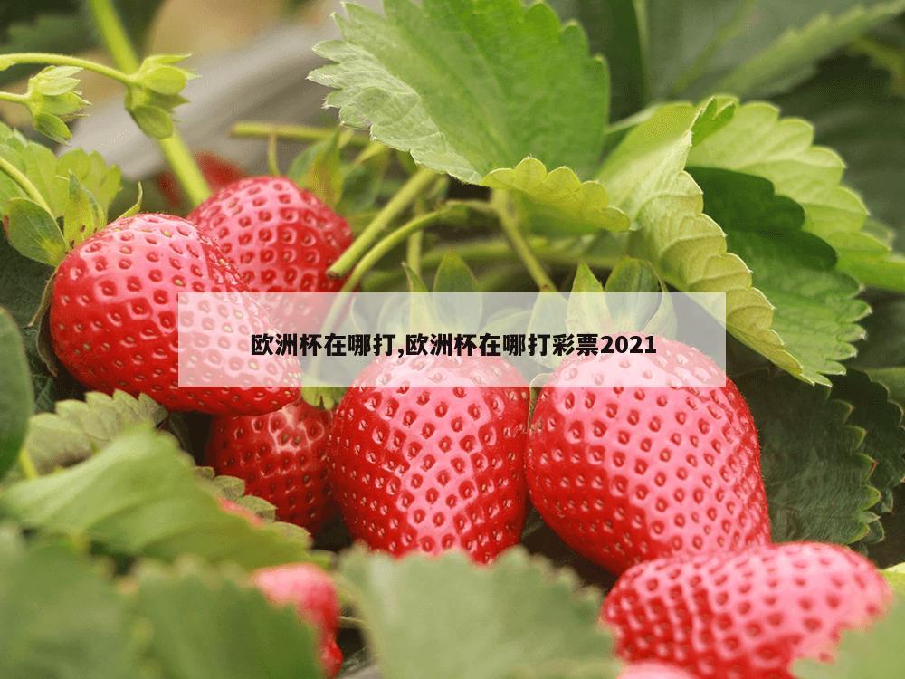 欧洲杯在哪打,欧洲杯在哪打彩票2021