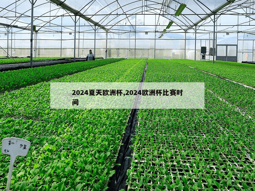 2024夏天欧洲杯,2024欧洲杯比赛时间