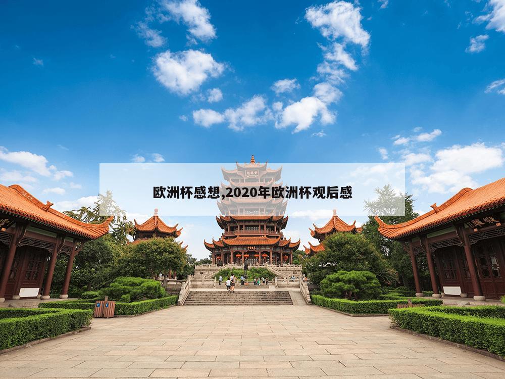 欧洲杯感想,2020年欧洲杯观后感