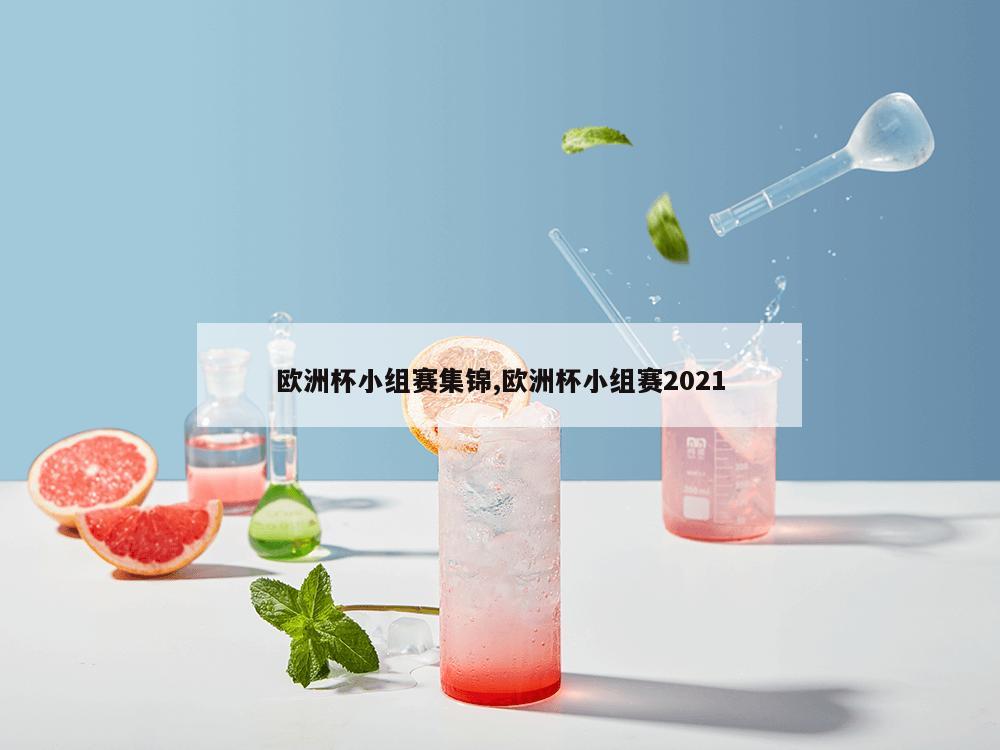 欧洲杯小组赛集锦,欧洲杯小组赛2021