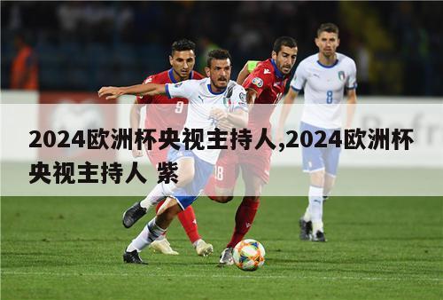 2024欧洲杯央视主持人,2024欧洲杯央视主持人 紫